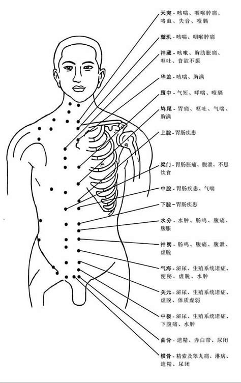 人體有多少穴位